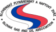 SPNZ-e13732253832981