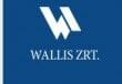 Wallis-Auto-Holding1-e13748470027681